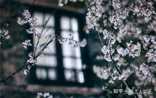 我与春风皆过客原诗刘禹锡