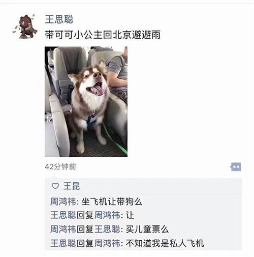 归鸿带狗上飞机结局是第几集