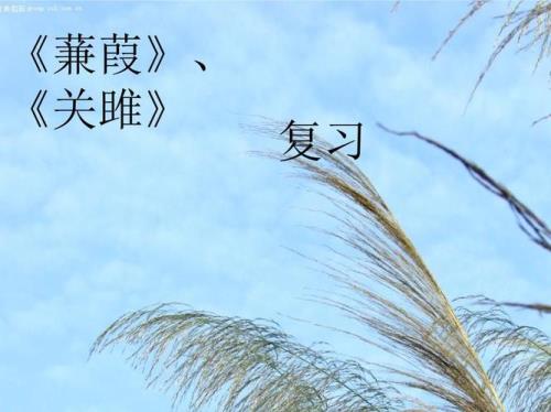 关雎和蒹葭哪个更美