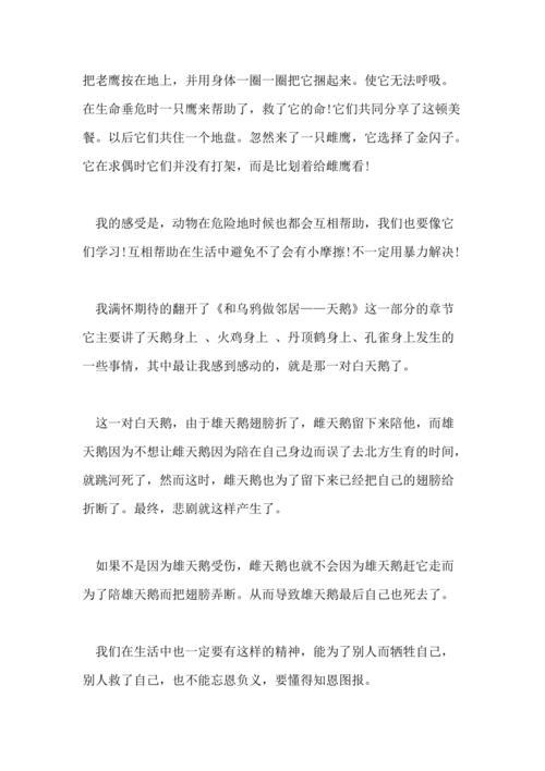 和乌鸦做邻居的好句和好段
