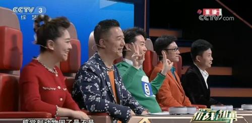 越战越勇评委都是谁