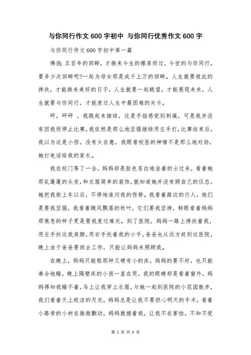 一路与什么同行作文600字
