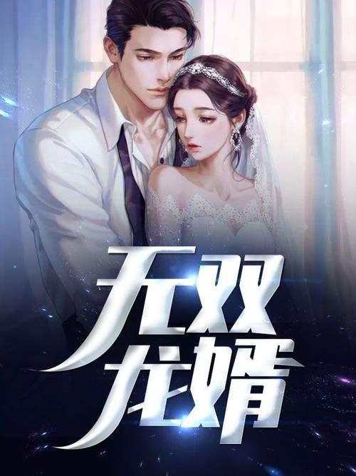 龙王婿小说写得如何