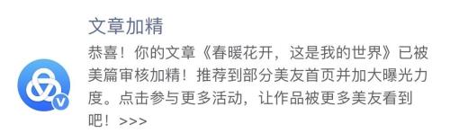 花开是片落泪的海结局解说