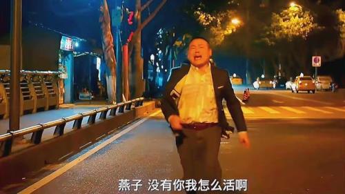 岳云鹏燕子是什么电影