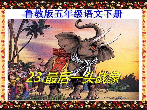 最后一头战象谁写的
