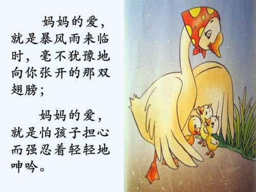 懒惰的杜鹃鸟妈妈故事内容