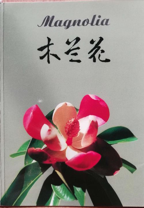 云南八大名花的故事