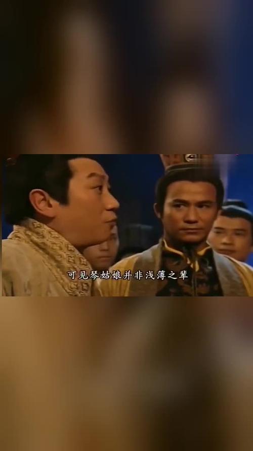 寻秦记项少龙和赵姬结局是什么
