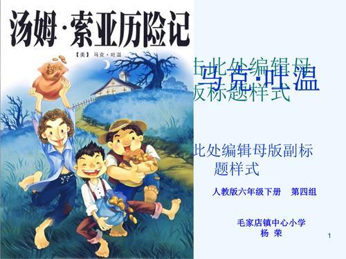 汤姆索亚和哪些人相同