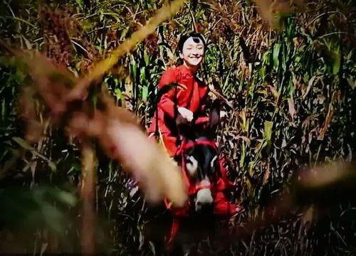 红高粱第几集九儿被抱进高粱地