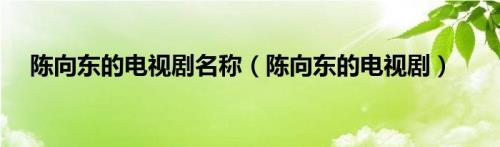 陈向东是哪个电视剧里的
