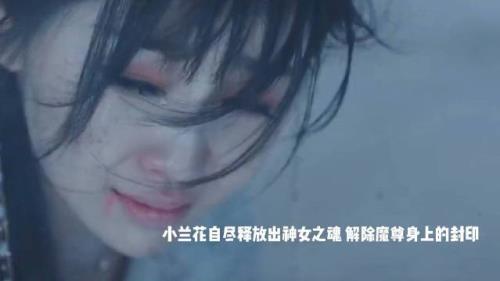 东方青苍没了业火之后怎样保护小兰花