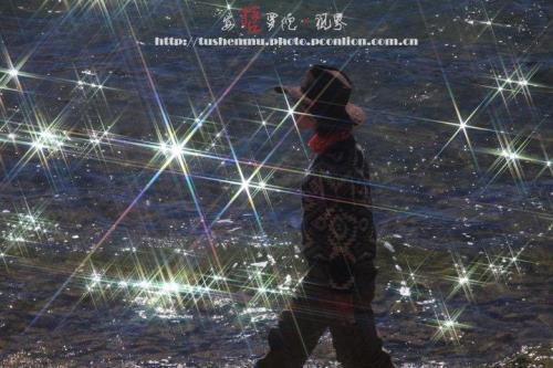 星光灿烂虐吗