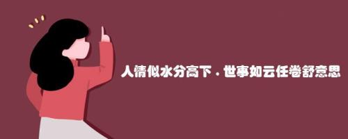 舒是什么意思