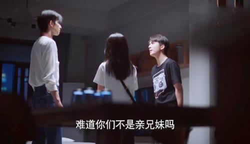 以家人之名为什么陈婷不心疼凌霄