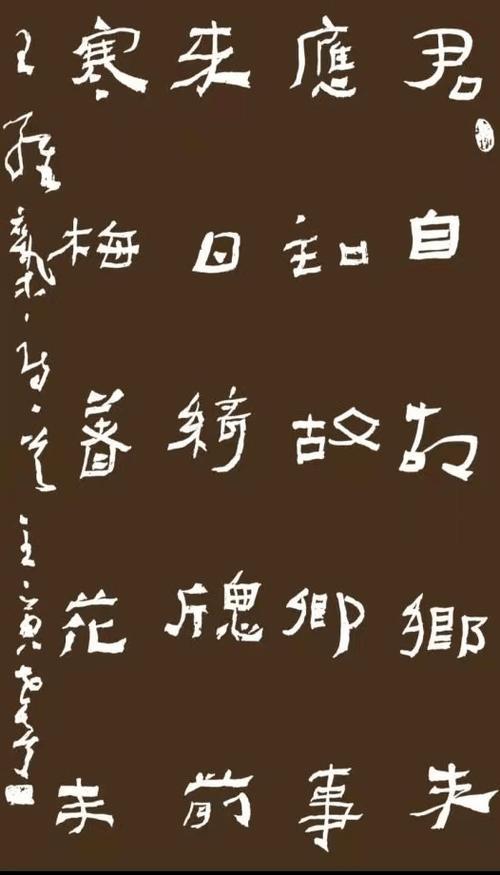 理想之城片赵炳坤是谁