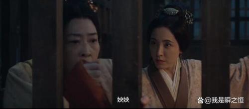 星汉灿烂安成君是什么地位