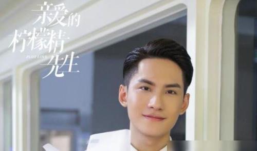 亲爱的林蒙先生大结局