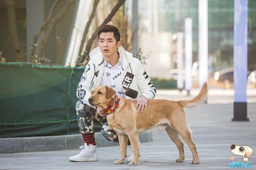 神犬小七第一季男主