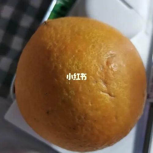 橙子是什么梗