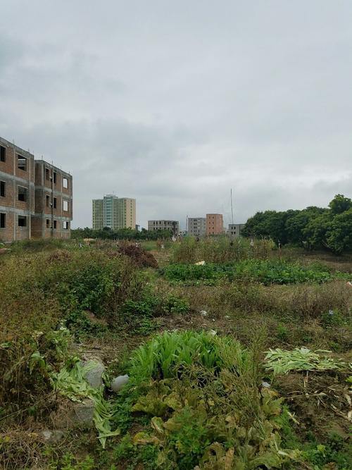 广东省揭阳市惠来县河林镇后洋村前洋一横巷邮编是什么