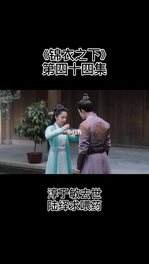 锦衣之下2重播