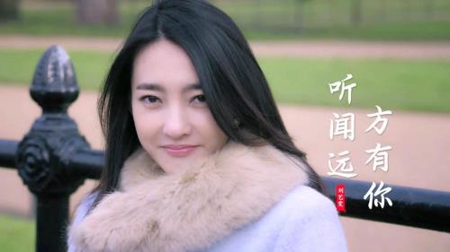 听闻远方有你电视剧