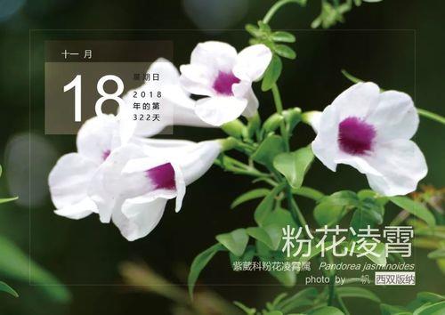 凌霄是指几点钟