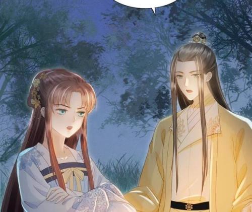np古言男主有紫枫魅弑还有二王爷三王爷神医