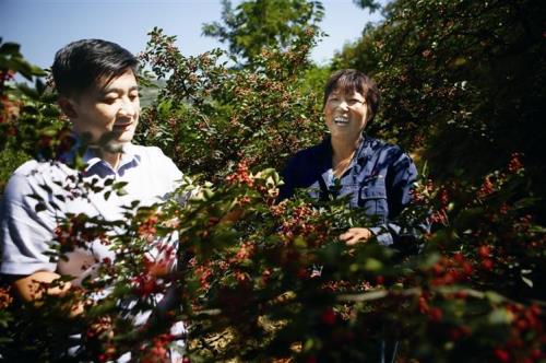 韩城市宏达花椒香料有限公司介绍