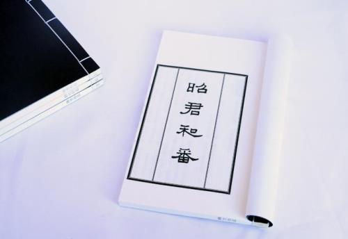 与王昭君历史典籍
