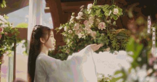 东方青苍养小兰花多久才复活