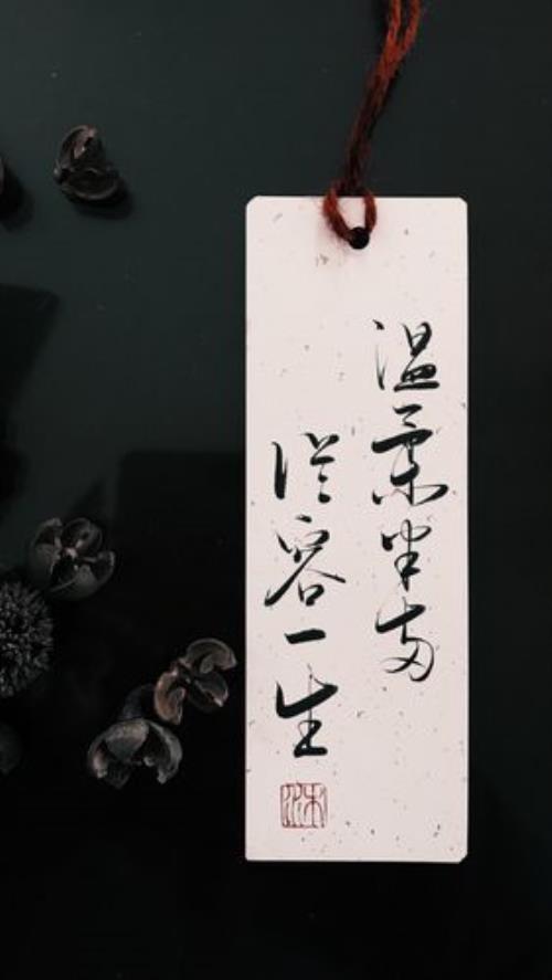 温柔半两,从容一生是什么意思