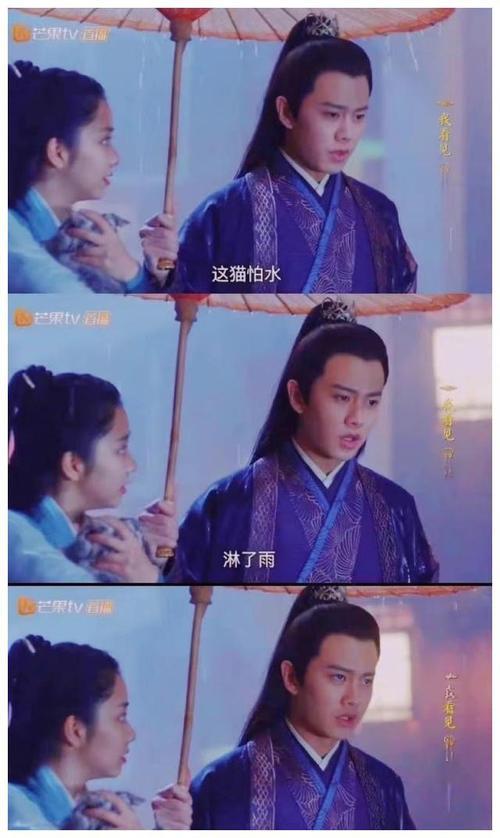 今夏为陆绎挡了几次雨