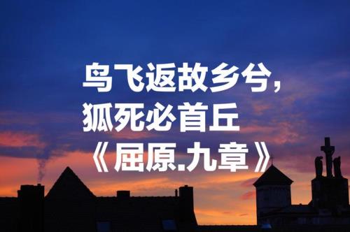 将以遗兮远者古诗意思