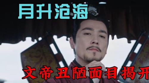 月光沧海什么时候更新