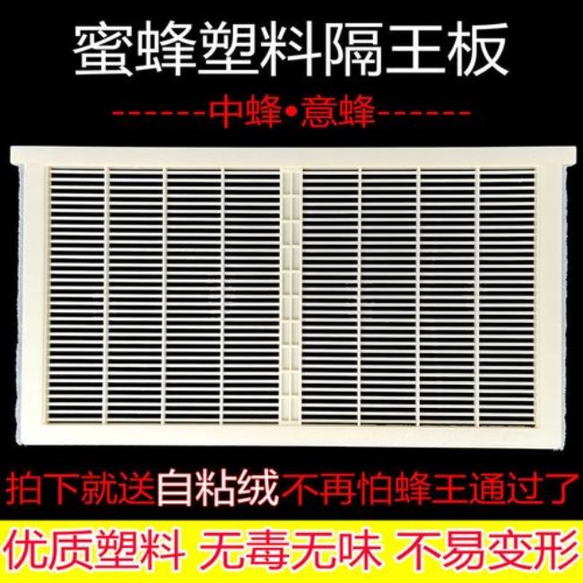 中蜂立式隔王板育王使用