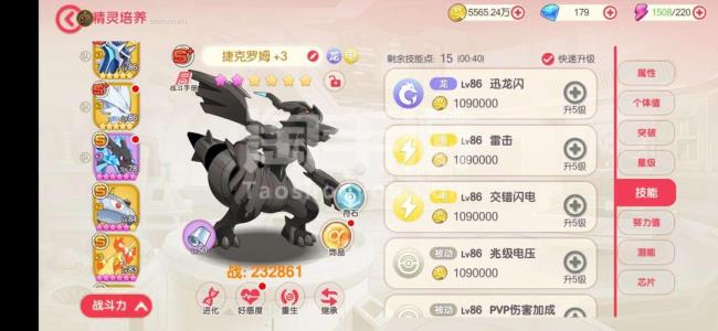 口袋觉醒全龙阵容