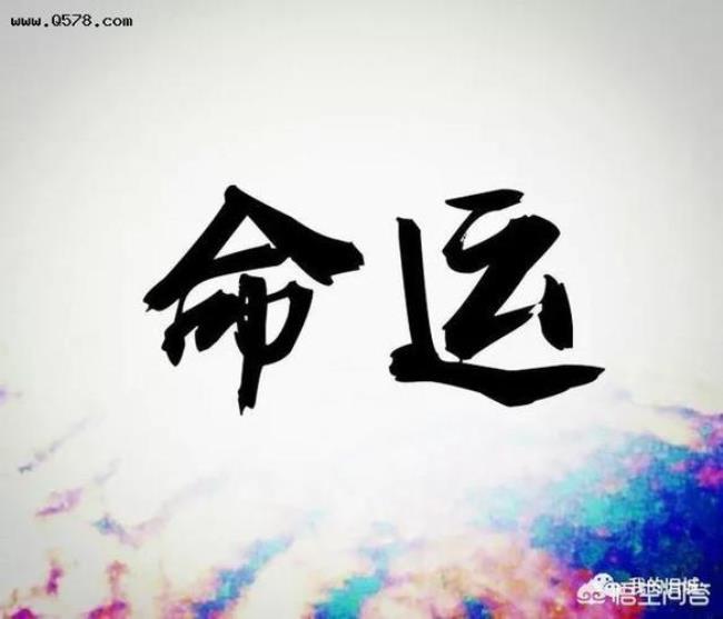 鲍可可的命运是