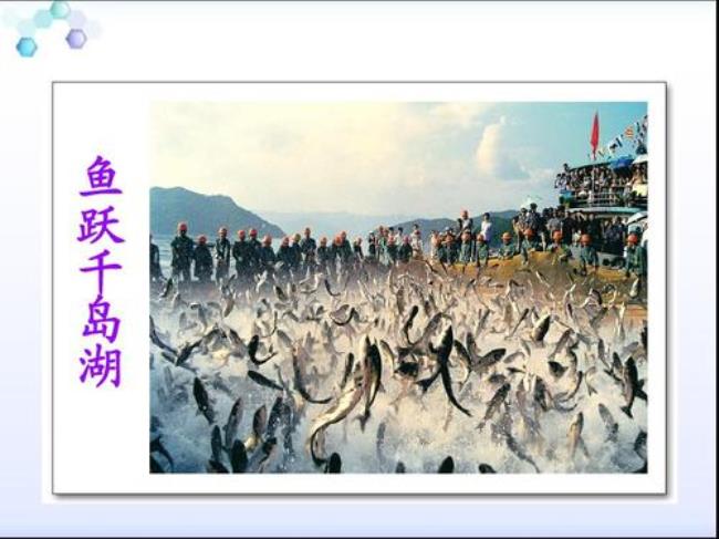 绿色千岛湖课文原文