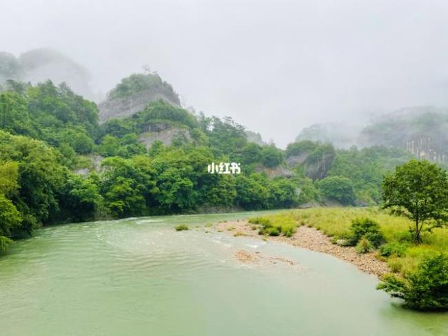武夷山的雨主要内容