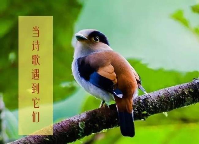相逢何太迟意思