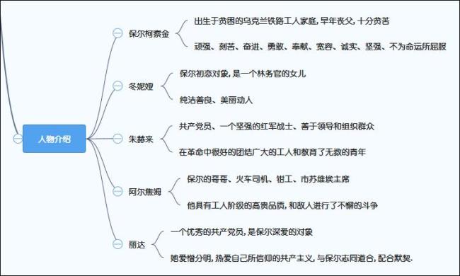 钢铁是怎样炼成的人物描写片段