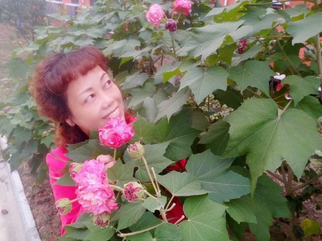 女人都是一朵花原唱