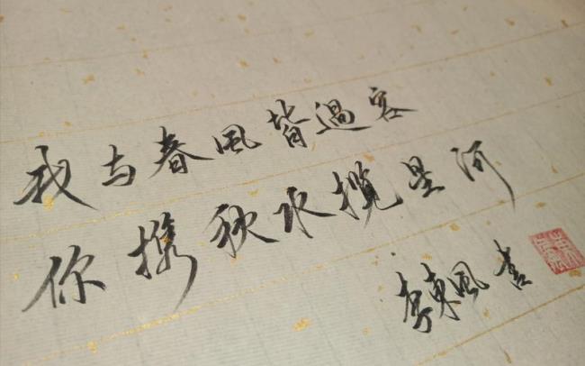 你揽星河皆过客全诗