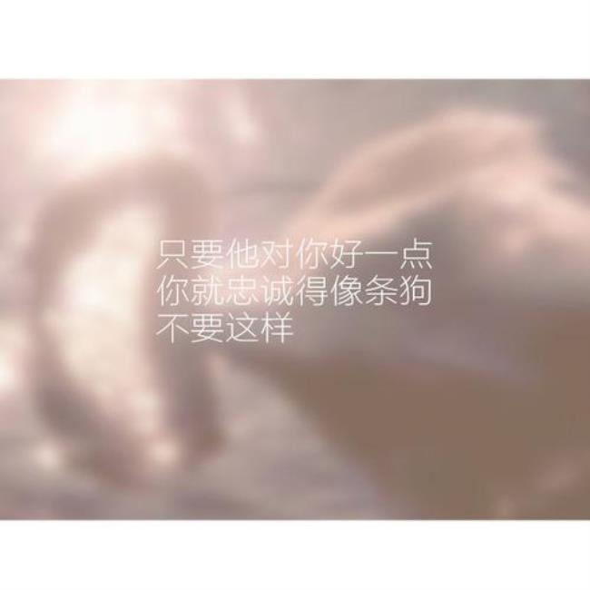 倾尽此生护你周全是什么意思