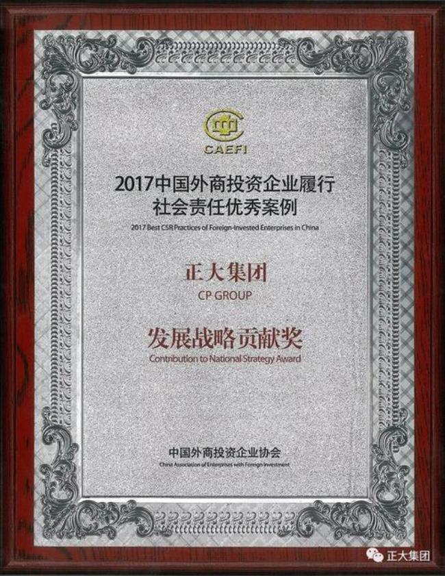 正大集团属于私企还是外企