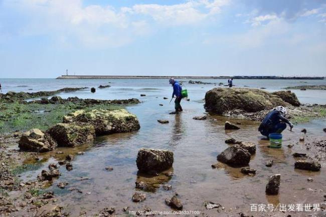 武汉赶海地点