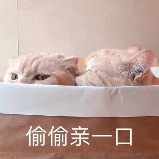 亲手亲力什么意思